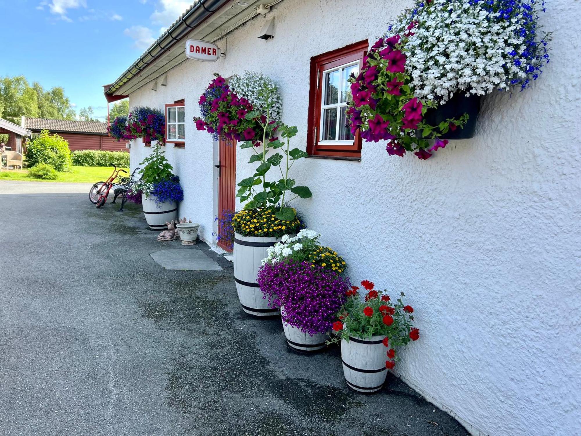 Gullvag Camping Nyberg Soknedal Exterior photo